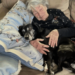 Screenshot 2025-11-24 191453